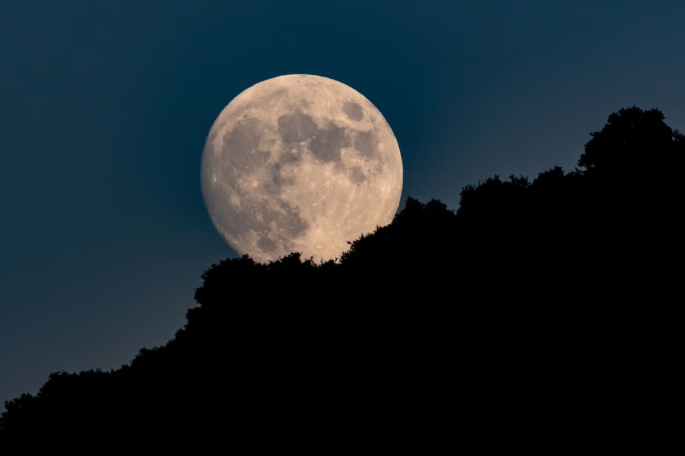 Lunar Ritual: New Moon Workshop